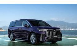 China 30kW Luxury EV Car Carbon Version VOYAH Dreamer MPV Seven seaters supplier