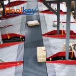 Efficient Transport System Modular Belt Conveyor Variable Speed Operation for sale
