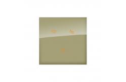 China White / Gray Glass Panel Tuya Zigbee Switch Touch Sensing Orange Light supplier