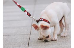 China Sublimation Christmas Santa Claus Dog Collar And Leash Set Puppy Training Collar supplier
