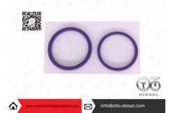 China 20440388 Delphi /  Injector Repair Kits Common Rail Injector Parts supplier