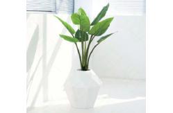 China Height 110cm Artificial Banana Tree Environmental Friendly supplier