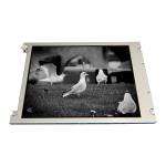 KCB084SV1AE-G40 8.4 inch 800*600 LCD Screen Display for sale