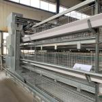 Hot Galvanized Automatic A-type H-type Poultry Cage For Bathroom In Laying Hens Farm for sale