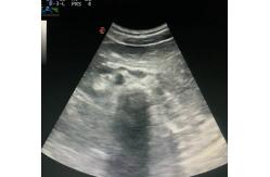 China MyLab 50 Biosound CA541 Convex Array Ultrasound Probe For Diagnosis supplier