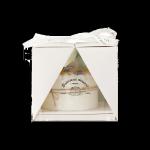 AI CDR Or PDF Design Requirement Our Customizable Cake Packaging Boxes for sale