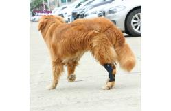 China Joint Protection SBR Dog Knee Pad for Surgery Recovery supplier
