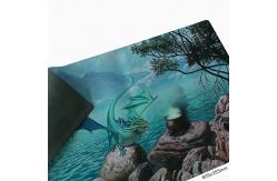 China Soft Rubber Playmat Custom Printed 605x355mm Art Play Mat SGS supplier
