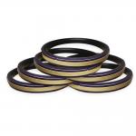 50 - 300Mpa SPGW Compact Seals SPGW Hydraulic Spgw Piston Seal For Construction Mechanical for sale