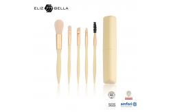 China 5 Mini Brushes Set With Brush Holder Special Plastic Handle Cosmetic Brush OEM supplier