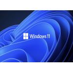 WDDM 2.0 UEFI Microsoft Windows 11 Professional Win 11 Pro COA Sticker Key License for sale