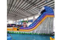 China ODM Outdoor Inflatable Water Slides Palm Tree Bouncy Castle supplier