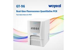 China Wayeal Clinical Medical Real Time Pcr Analyzer For Nucleic Acids Testing supplier