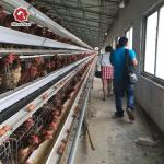 3 Tiers 96 Birds Layer Poultry Farm Battery Chicken Cage A Type With Automatic Nipple Drinker for sale