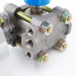 Explosion Proof Differential Pressure Transmitter 4-20mA Output With Hart