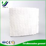 Efficiently Filter and Drain Water with Advanced Drainage Geonet and Three-Dimensional Composite Drainage Network for sale