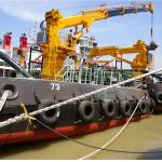 Wide Working Radius 4t 30m ABS Telescopic Boom Crane
