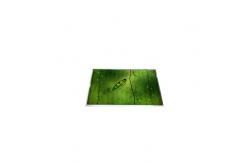 China LP154WX5-TLA1 15.4 inch 1280*800 LCD Screen Module for Laptop supplier