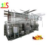 China Commercial Automatic Mango Pulp Production Line Fruit and vegetable processing line for sale