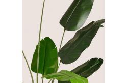 China Height 110cm Artificial Banana Tree Environmental Friendly supplier