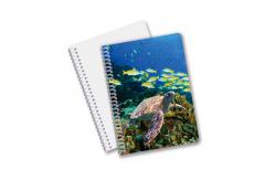 China Good Quality Personalized 3D lenticular PET material Promotion Gift Spiral 3D Printing Notebook supplier