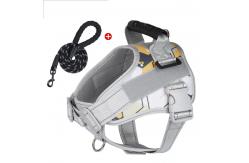 China Pet Safety Harness Leash Easy To Clean Adjustable Buckle For Dogs supplier