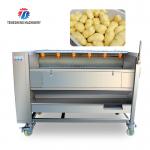 Potato cleaning peeling machine taro peeling machine multi-functional horseshoe hair roller cleaning machine for sale