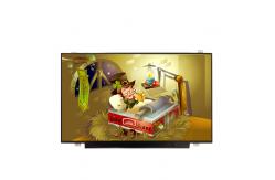 China B140XTN02.8 14.0 inch 1366*768 TFT-LCD SCREEN For Laptop supplier