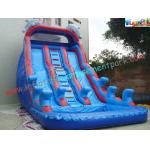 Giant Dolphin Outdoor Inflatable Water Slides , Three Line Inflatable Water Slide Pool for sale