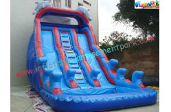China Giant Dolphin Outdoor Inflatable Water Slides , Three Line Inflatable Water Slide Pool supplier