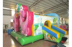 China Inflatable Dinosaur Baby Bouncy Castle , Quadruple Stitching Toddler Jumping Castle supplier