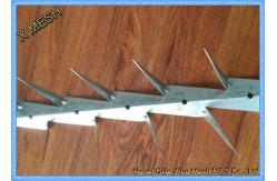 China Hot Dipped Galvanized And PVC Coated Black Medium Wall Spikes 0.8mm Thickness supplier
