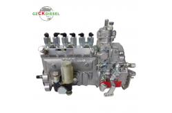 China Fuel Injection Pump 3960797 C3960797 for Cummins 6BT 6BT5.9 QSB Engine  supplier