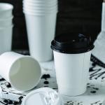 12oz Custom Logo Disposable Insulated Paper Cups White Eco Friendly Takeaway for sale