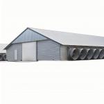 Light Steel Structure Shed Construction Customized Steel Broiler Poultry House for sale