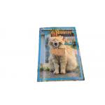 ODM Voice Recording Birthday Cards CE ROHS Certification With PCB Board for sale