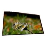 LTM270HL05 New Original 27.0 inch 1920*1080 LCD Screen Display for sale