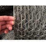 Garden 1/2'' Hexagonal Wire Netting 12M galvanised chicken wire mesh