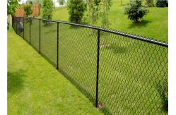 China 3mm 75x75mm Pvc Coated Chain Link Fence Hexagonal Wire Mesh supplier