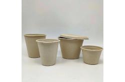 China Sustainable Biodegradable 4oz Sugarcane Bagasse Disposable Hot Cups With Lids supplier