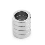 Best Price Rare Earth Strong Permanent Large Ring Neodymium Magnets for sale