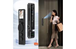 China Anti Theft Face Detection Lock Video Intercom Tuya Face Scanner Door Lock supplier