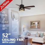 2022 Classic Ceiling Fan with Remote Control and Fancy Light Support Dimmer for sale