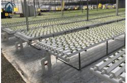 China High Yield Agriculture Hydroponic Growing System Greenhouse NFT Growing Troughs supplier