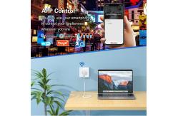 China WIF Smart Power Outlet Remote Control Zigbee Outlet Socket Power Monitoring supplier
