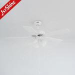 Lighting Solutions Service Lighting and Circuitry Design for 1stshine Ceiling Fan Light