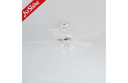 China Lighting Solutions Service Lighting and Circuitry Design for 1stshine Ceiling Fan Light supplier