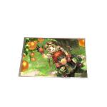 B141EW01 V6 14.1 inch 1280*800 LCD Display TFT-LCD SCREEN for sale