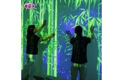 China Multi Scene Interactive Holographic Immersive Projection Experience for Commercial Spaces supplier