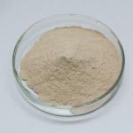 Feed Grade Liquid Protease Enzyme Alkaline Protease 2.4L Customized Food Grade for sale